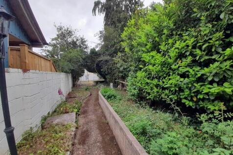 Garden 2025.jpg