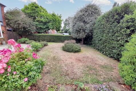 Garden new.jpg