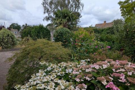 Garden 2.jpg