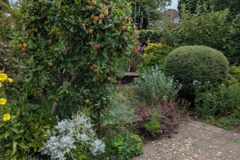 Garden 1.jpg