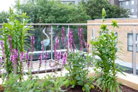 Property Image 29
