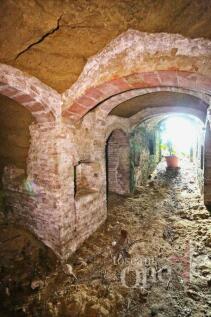 Cantina_VillaCevoli0