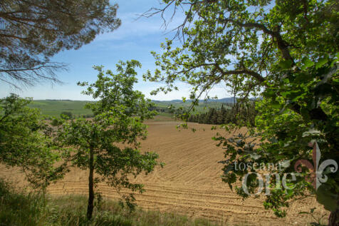 Casale Sant&#39;Andrea8.