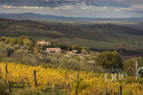 _DSC_8463-ycropA.jpg