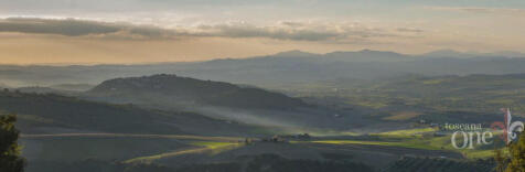 DSC_4784-crop.jpg