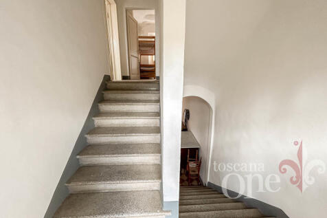 la corte-0713.jpg