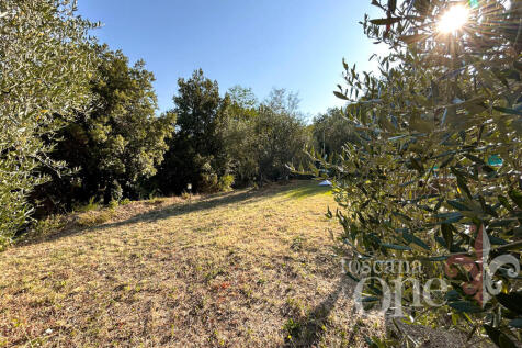 0160CASALE OLIVETO.j