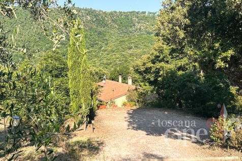 0164CASALE OLIVETO.j