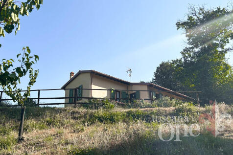 0215CASALE OLIVETO.j