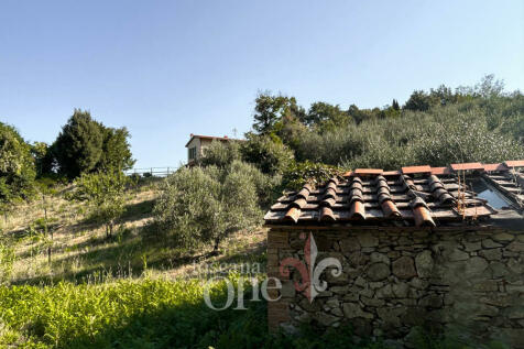 0223CASALE OLIVETO.j