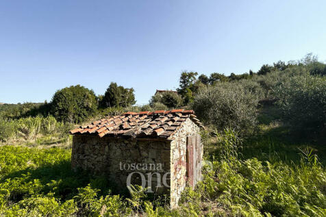 0224CASALE OLIVETO.j