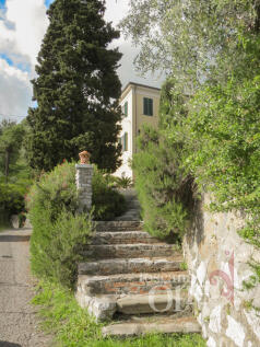 foto -24.jpg