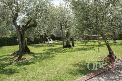 s.casciano-6770.jpg