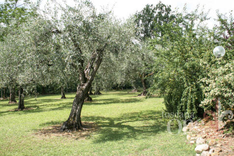s.casciano-6783.jpg