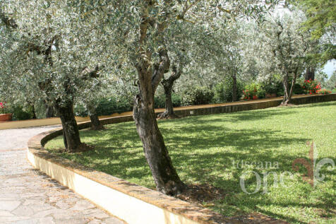s.casciano-6772.jpg