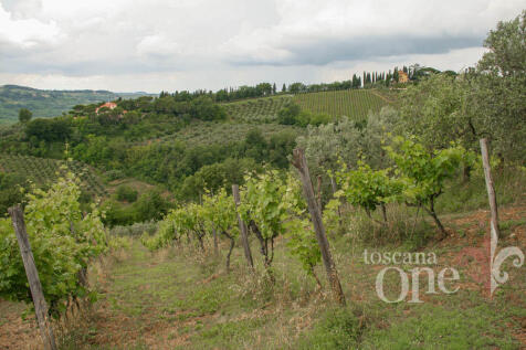 s.casciano-6851.jpg