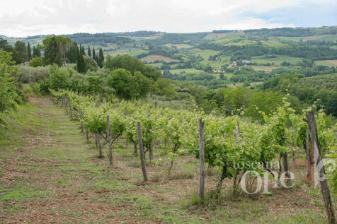 s.casciano-6847.jpg