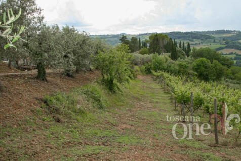 s.casciano-6849.jpg