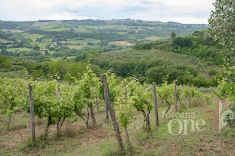 s.casciano-6848.jpg