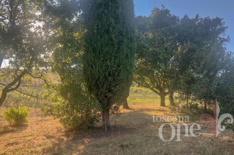 Podere San Marco-10.