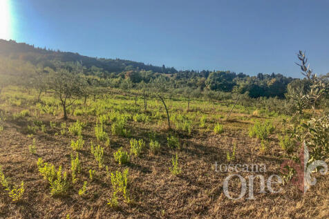 Podere San Marco-23.