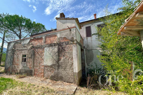 casa del gallo-1666.