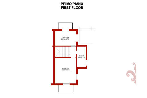 P1 imm.jpg