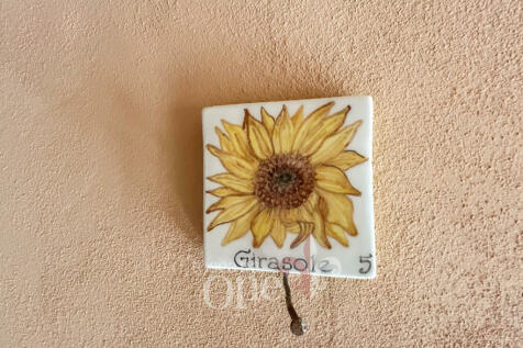 GIRASOLE 1.jpg