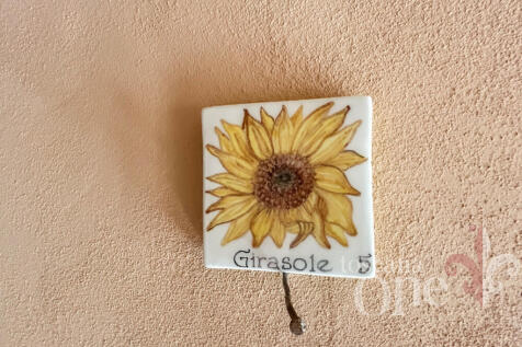 GIRASOLE 1.jpg