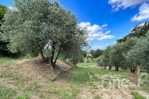 sant&#39;alessandro-4514