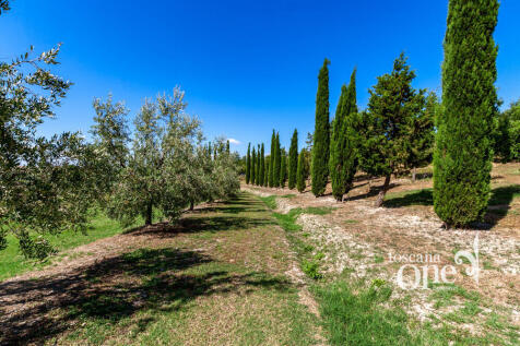poggio alle talpe -2