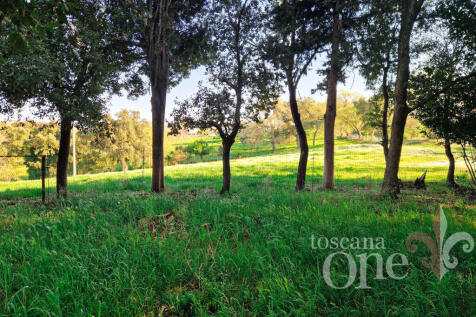 casale tondello -23.