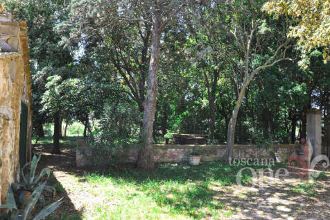 casale tondello -25.