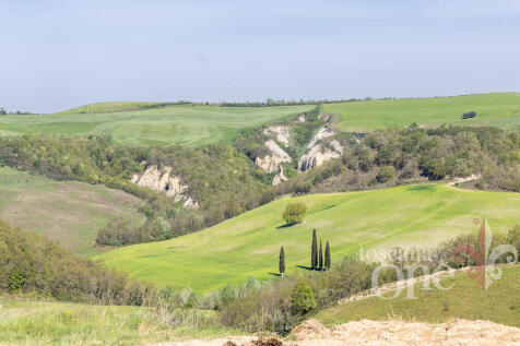 panorama copia.jpg