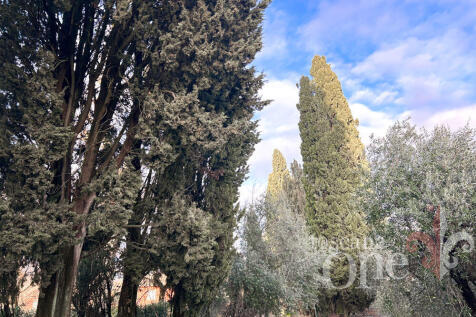 villa san michele -9