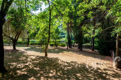 villa albachiara -19