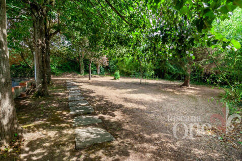 villa albachiara -51