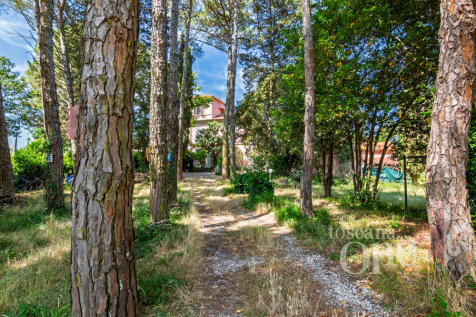 villa morgana -13.jp