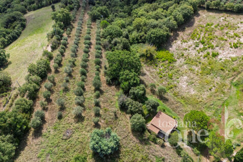 villa vendramina -35