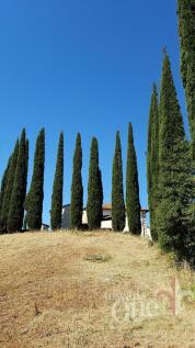 20170528_104906_resi