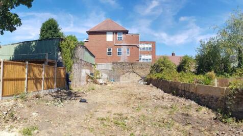Site Photo from 2022.jpg