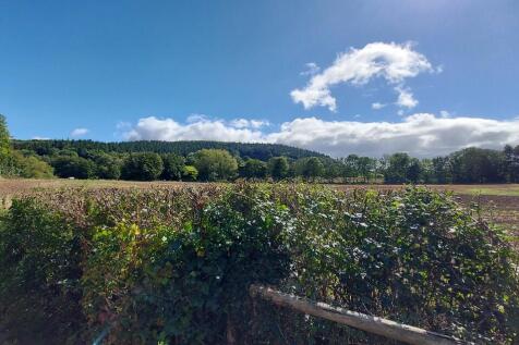 Stunning Views