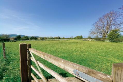 Alderton walks 