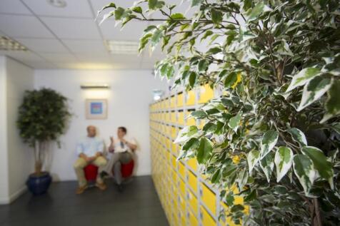 Property Image 7