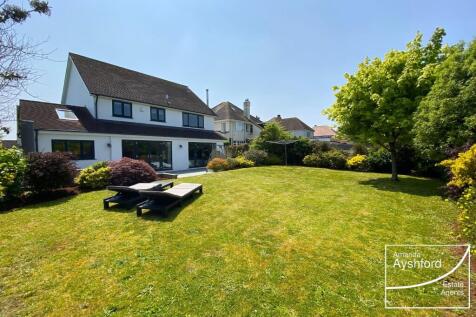 Property Image 39