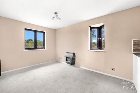 Kitchen/Living/Dining Room