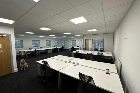 IMG_0335  Copy 3.JPG