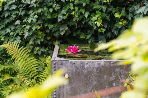 Property Image 44