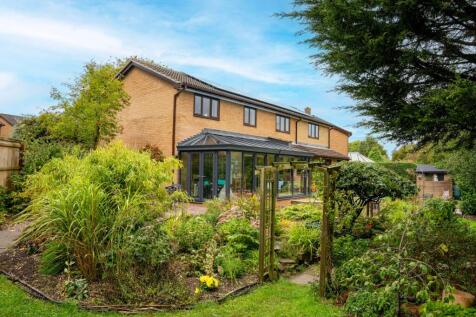 Property Image 4