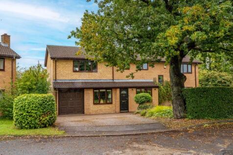 Property Image 37